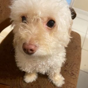 Meet your Posher, Karen